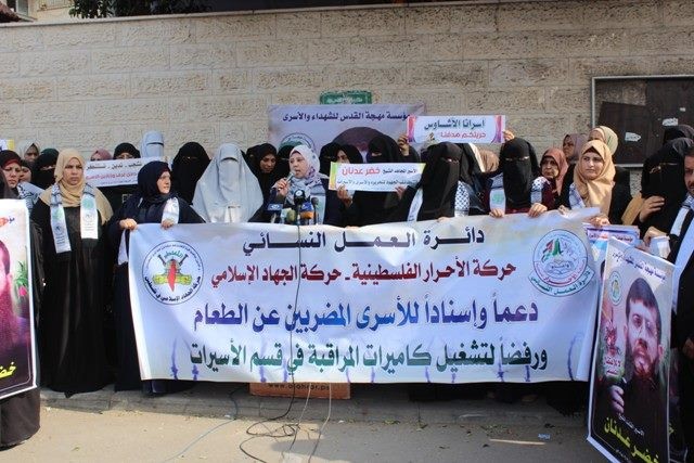 43383987_2504725846219406_8466933312827424768_n