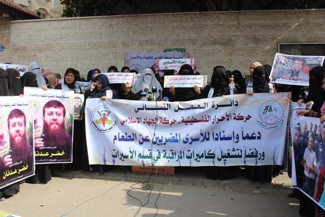 43331224_2504726136219377_70650743140384768_n