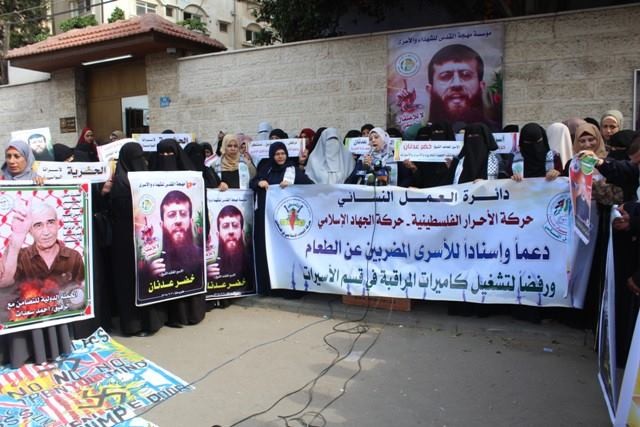 43538259_2504725872886070_5441484832569819136_n